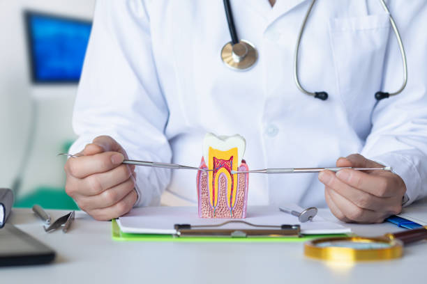 Best Emergency Root Canal Treatment in Winters, TX